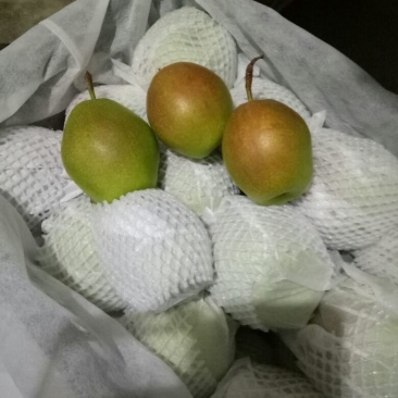 红香酥梨筐装100~150g