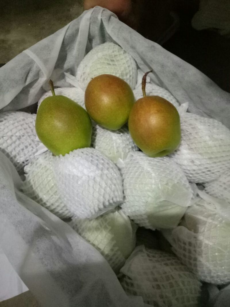 红香酥梨筐装100~150g