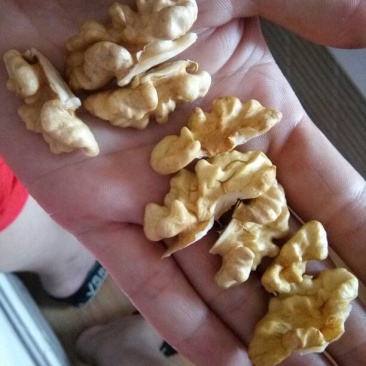 薄皮核桃30mm以上去皮