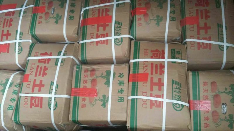 荷兰十五土豆3两以上个头大，颜色亮，薯型好，保鲜好