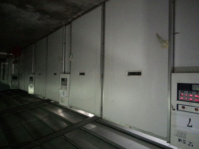 土鸡苗1斤以下