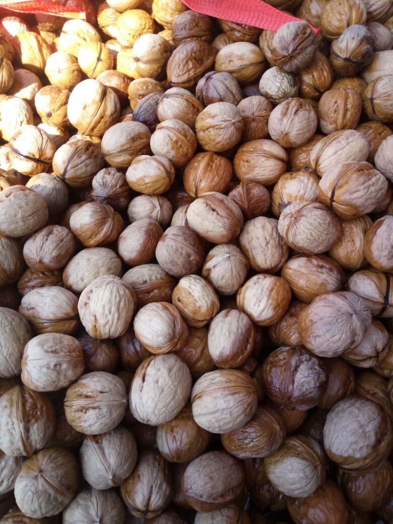 薄皮核桃30mm以上去皮