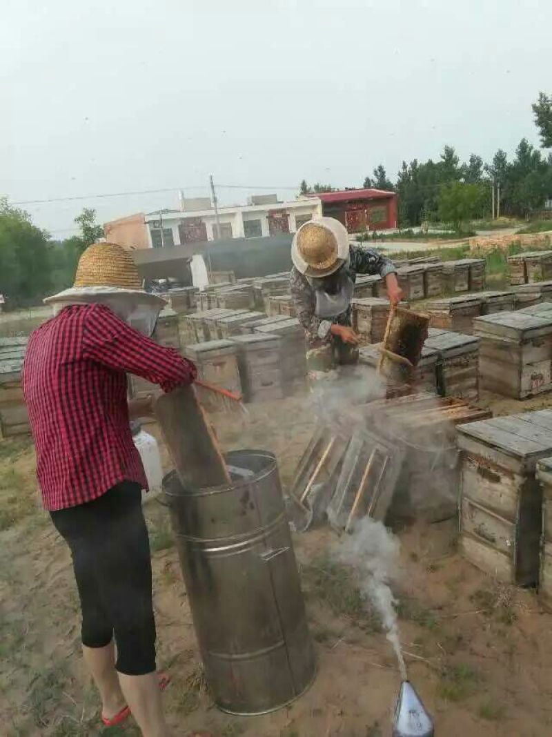 油菜蜜5斤以上