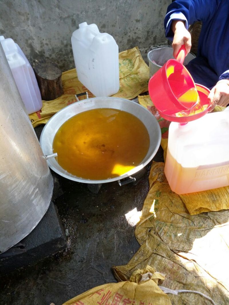 山茶油果