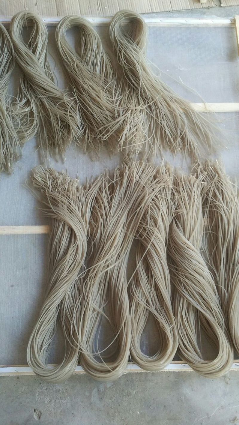 红薯粉面颗粒