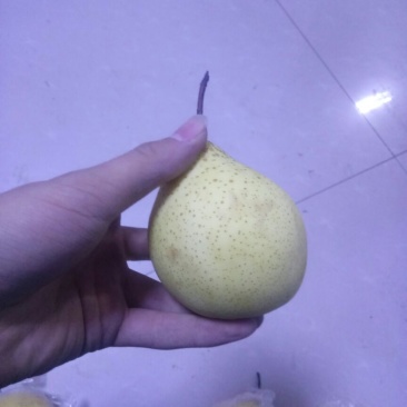 梨200~250g纸箱