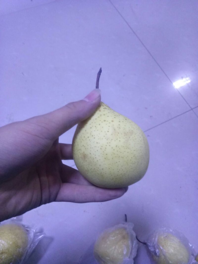 梨200~250g纸箱