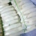 白萝卜1.5~2斤起