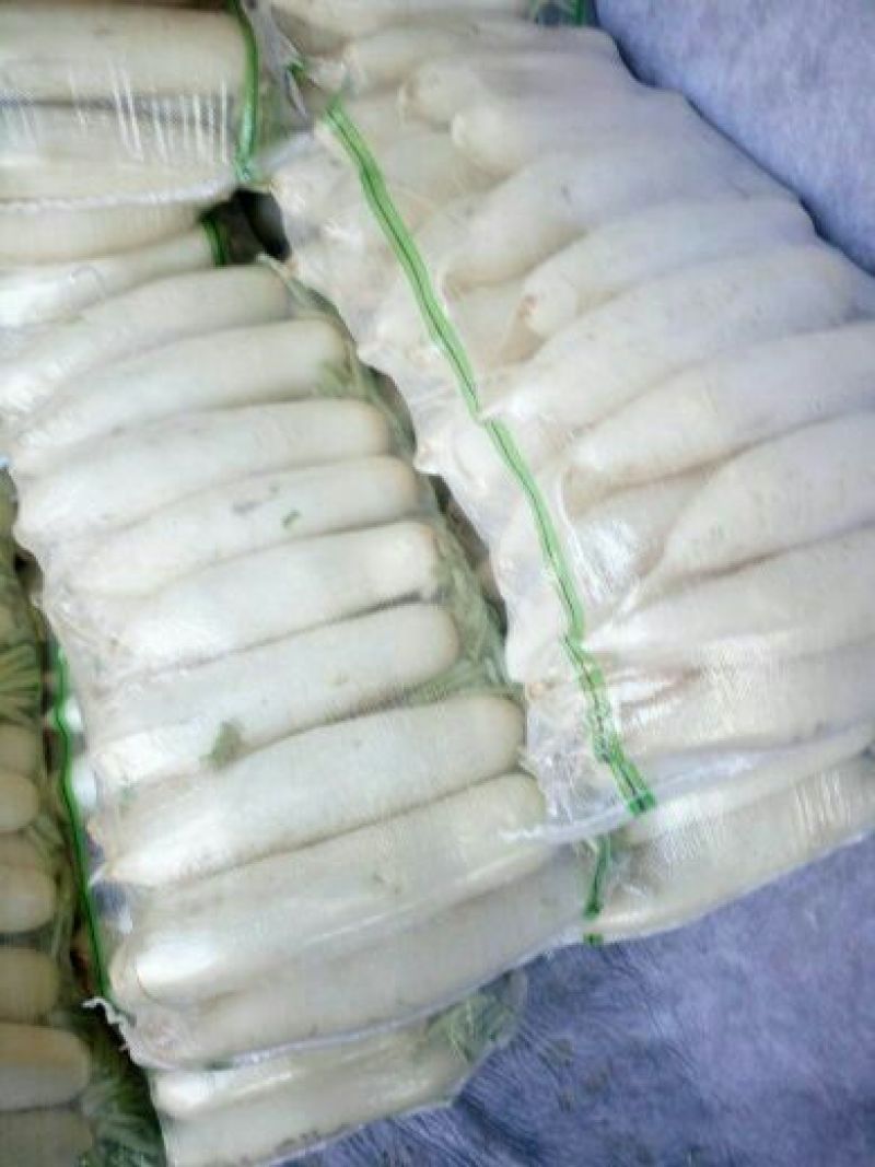 白萝卜1.5~2斤起