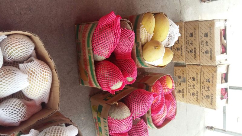 西州蜜瓜3斤以上椭圆形