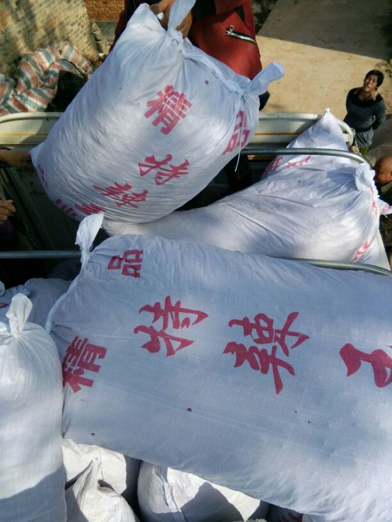 辣椒王5~10厘米特辣红产地直发量大优惠欢迎下单咨询