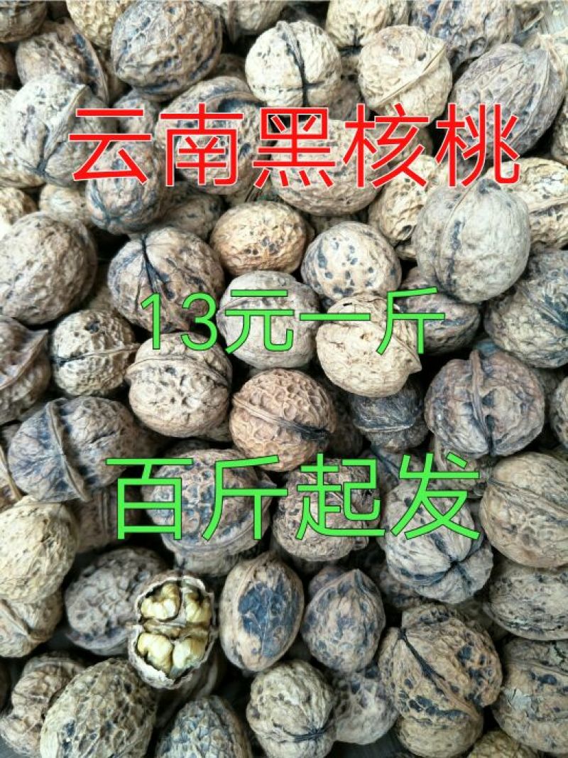 山核桃30mm以上去皮干