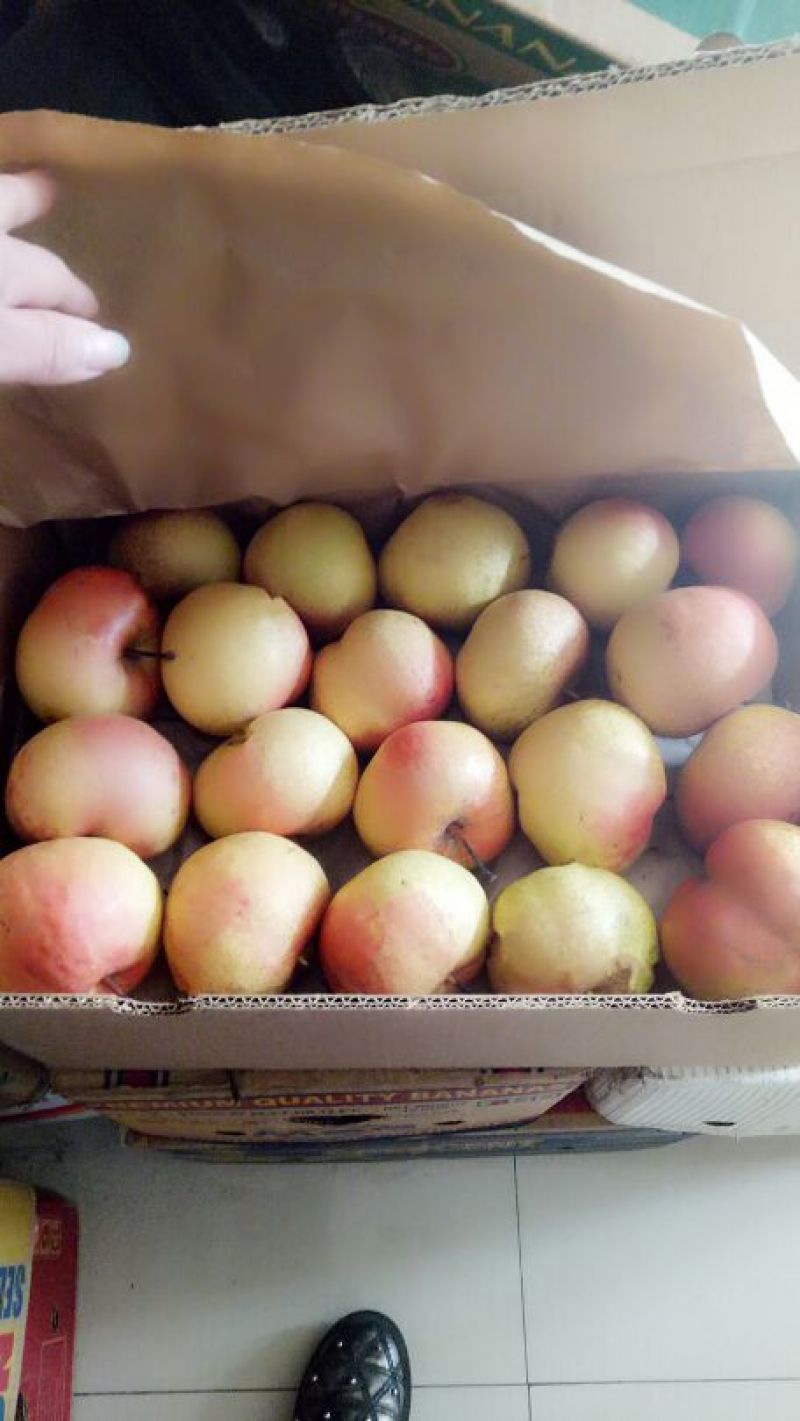 苹果梨纸箱