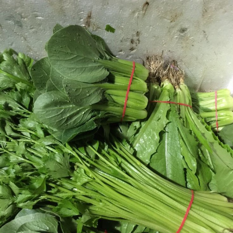 小叶菠菜