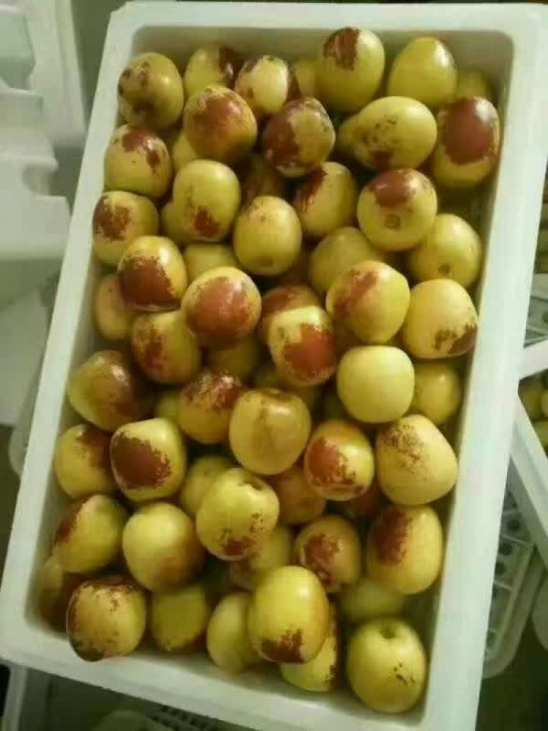 陕西大荔冬枣批发，陕西冬枣价格。