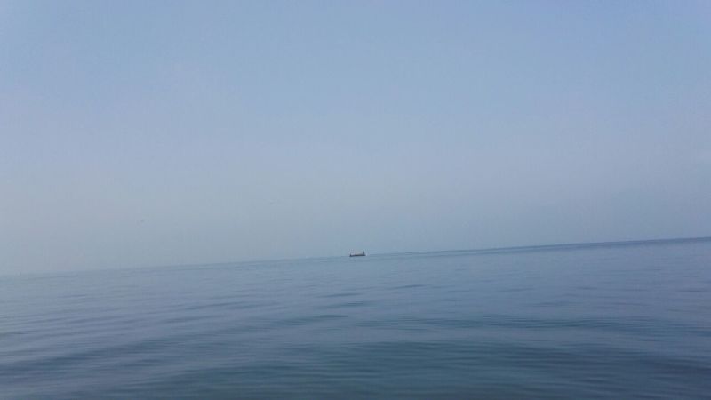 餐条鱼干