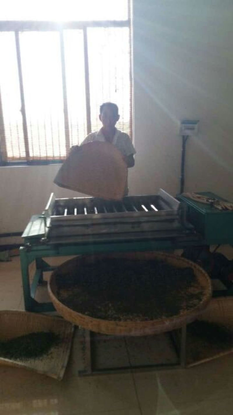 荷叶茶二级