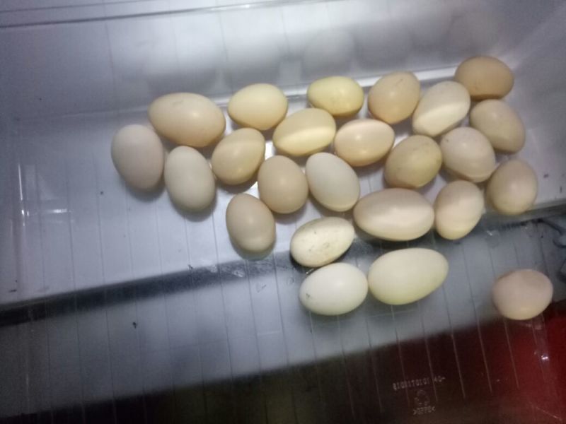 土鸡蛋食用60~75g