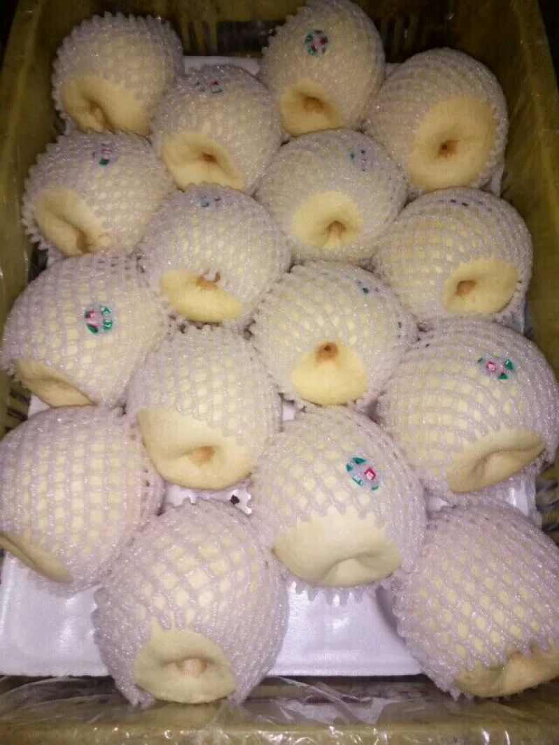酥梨纸箱350~400g