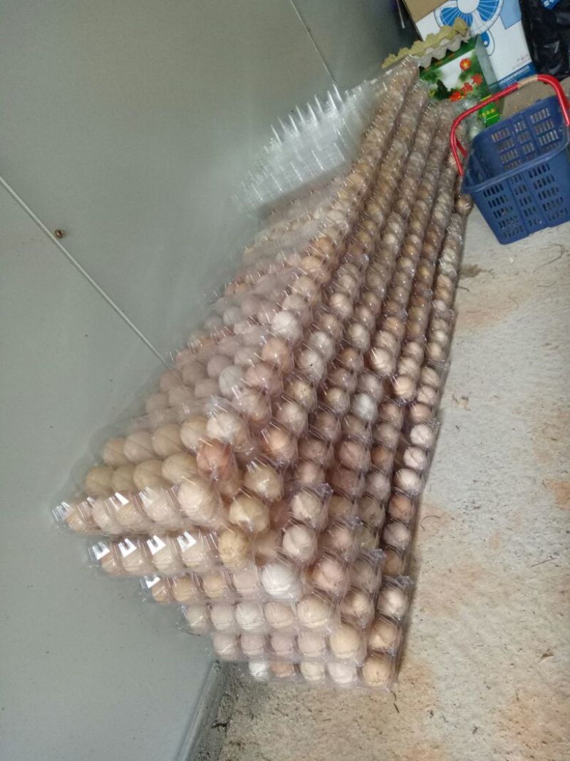 土鸡蛋食用50~60g