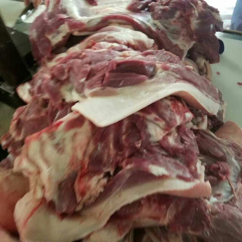 黑猪肉加工整猪加工