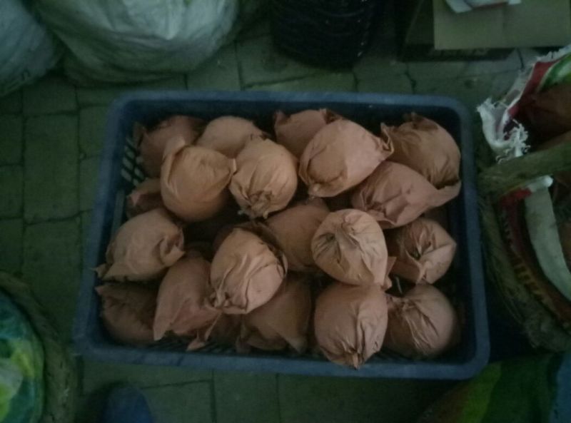 酥梨60~100g纸加膜