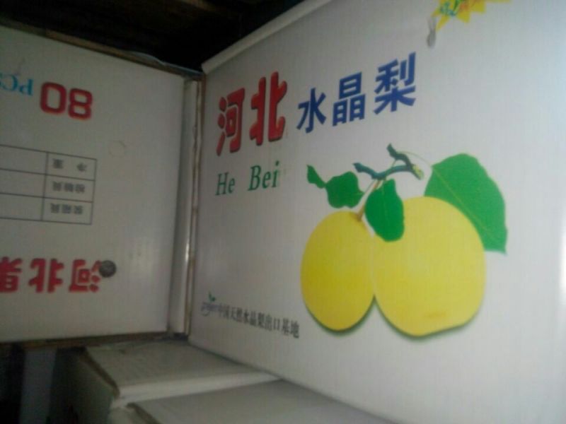 皇冠梨