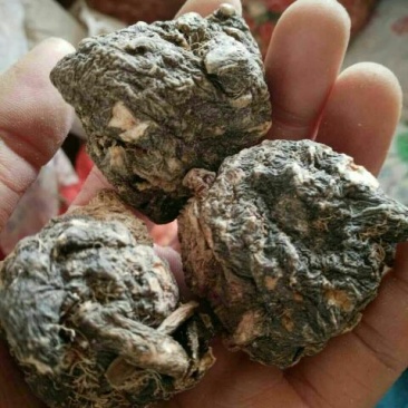 黑玛卡黑色