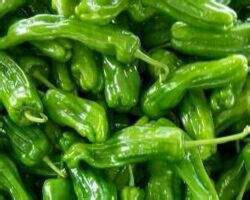 现摘现发薄皮辣椒芜湖椒产地新鲜直达