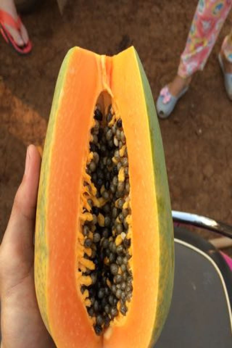 木瓜
