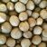 圆形榛子特级