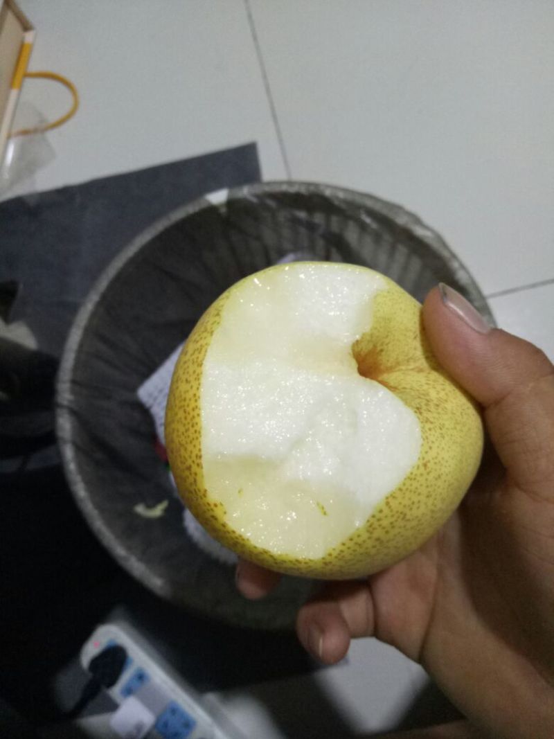 早酥梨450~500g纸加膜
