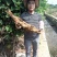 葛根无渣粉葛食材葛根菜葛