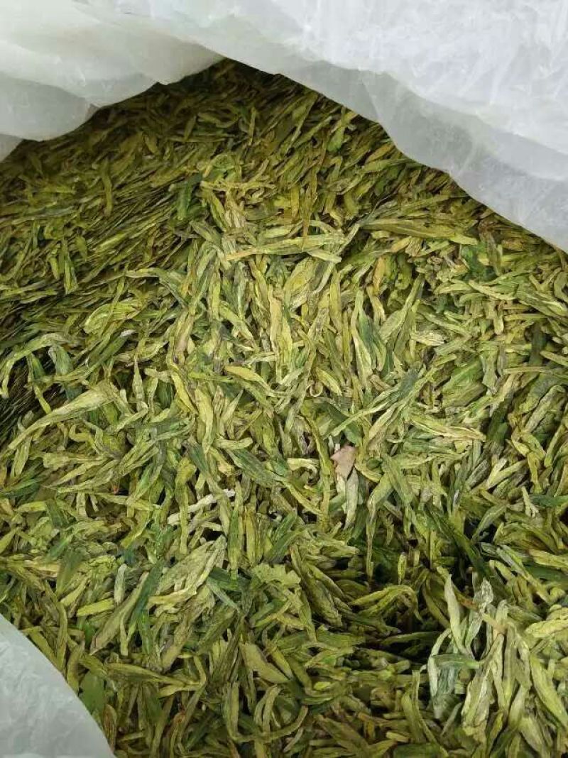本山茶一级
