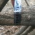 紫藤3~4cm1.5~2米