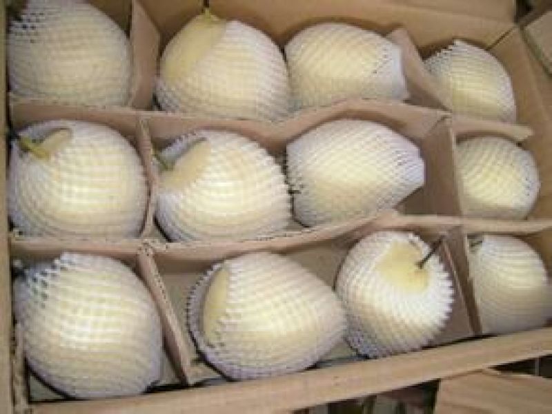 酥梨200~250g纸袋