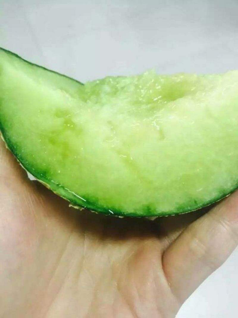 网纹瓜3斤以上椭圆形