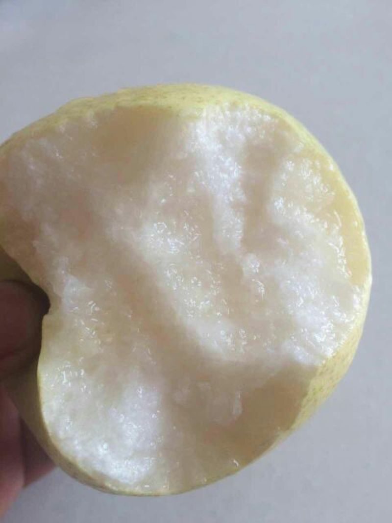 砀山梨250~300g纸袋