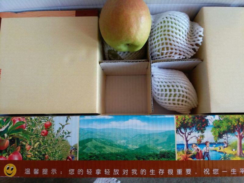 玉露香350~400g纸箱