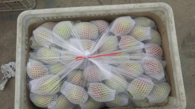 红香酥梨100~150g筐装