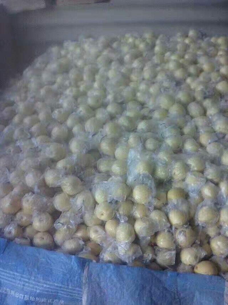 长把梨150~200g膜袋