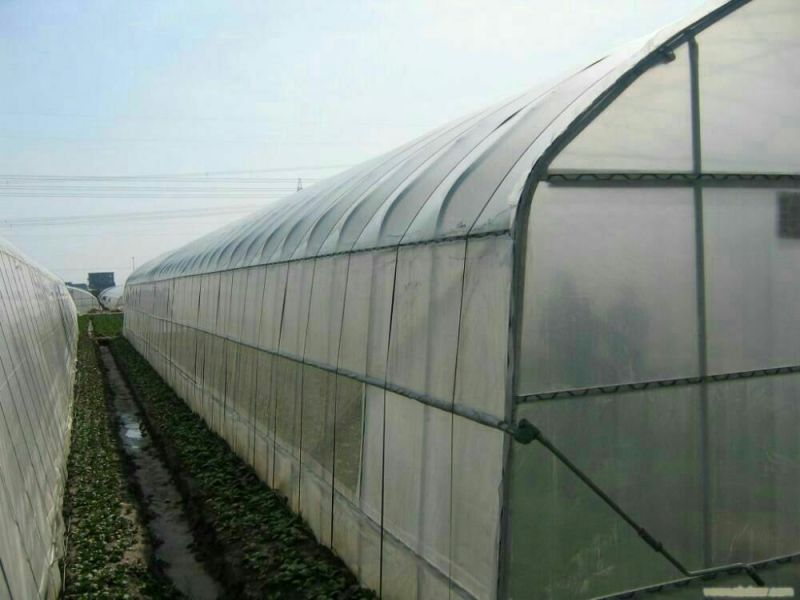钢架大棚蔬菜大棚温室大棚