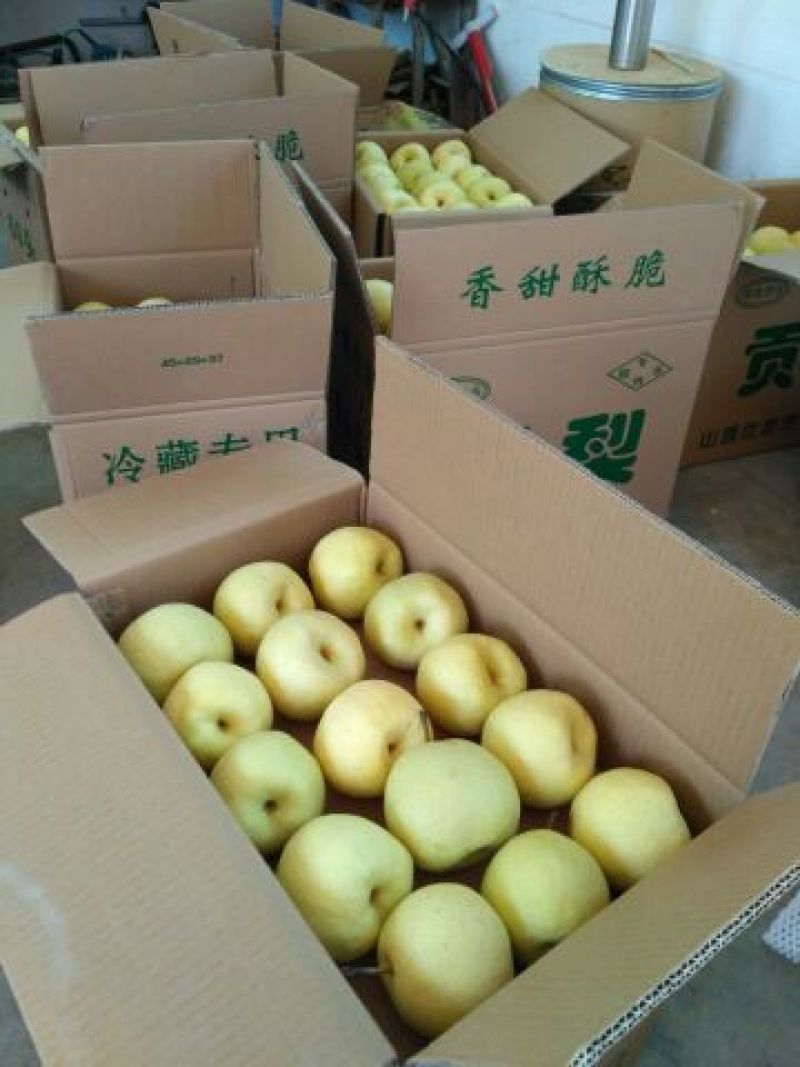 梨300~350g纸箱