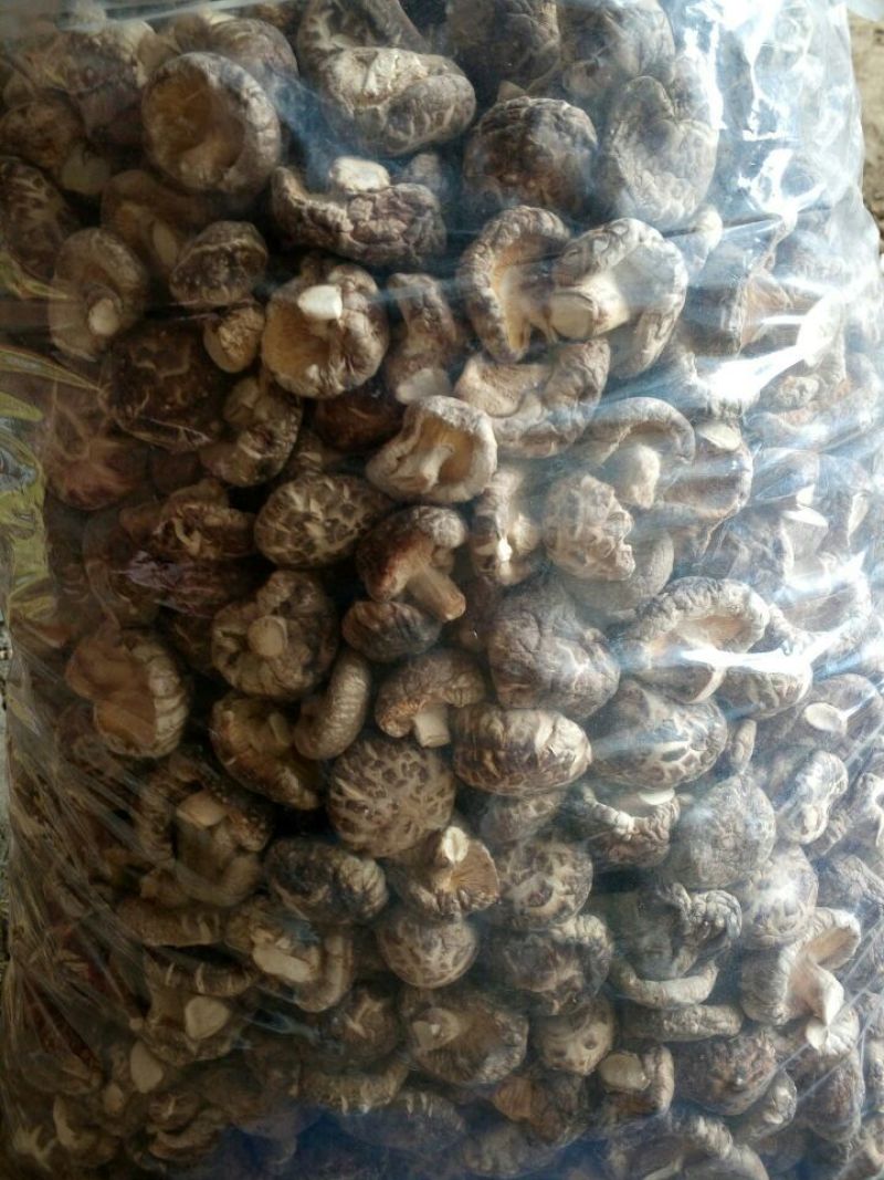 干香菇3cm以上