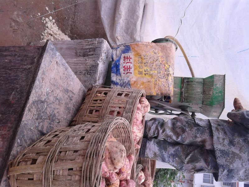 红薯粉面颗粒