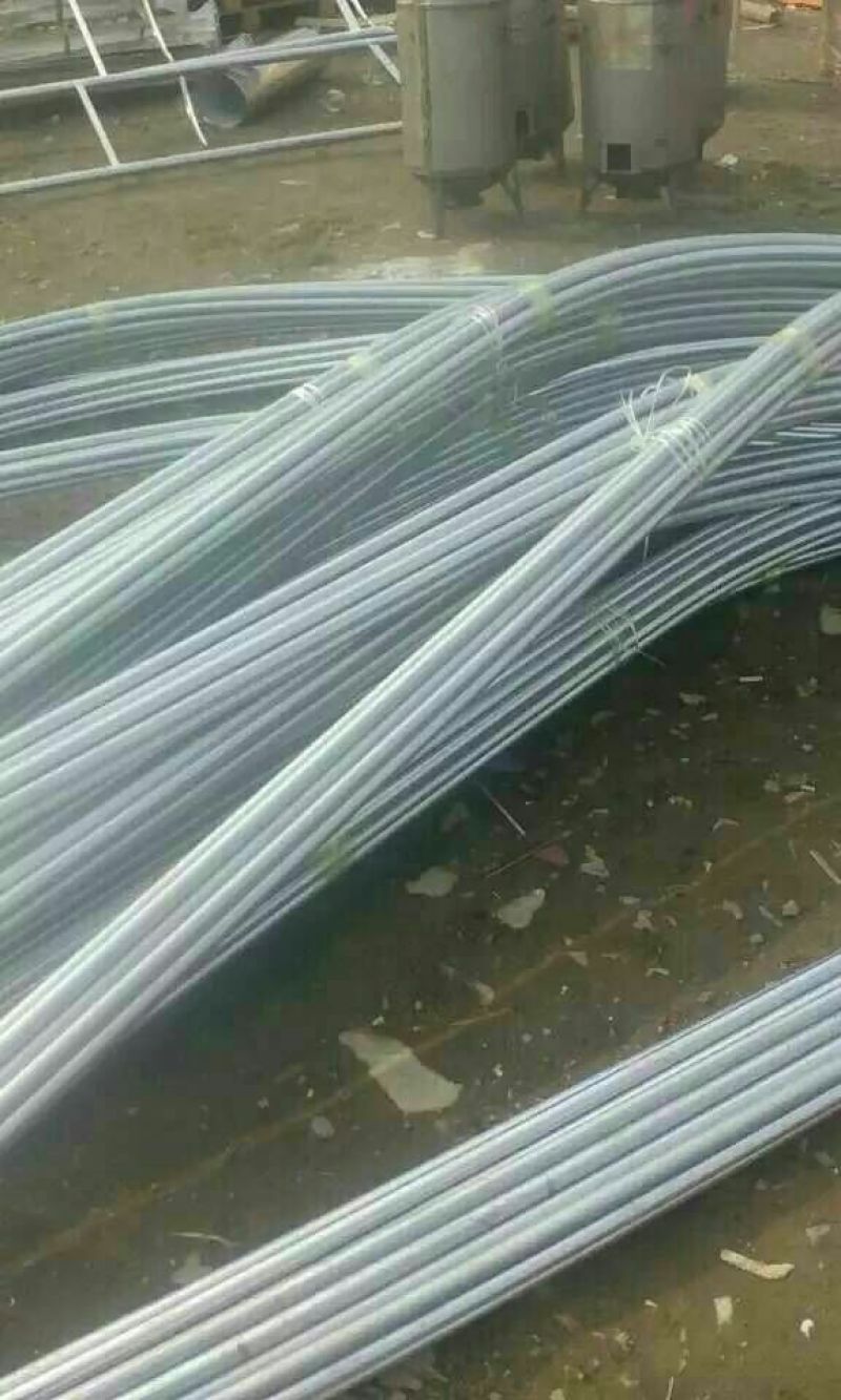 鹅苗250g以上