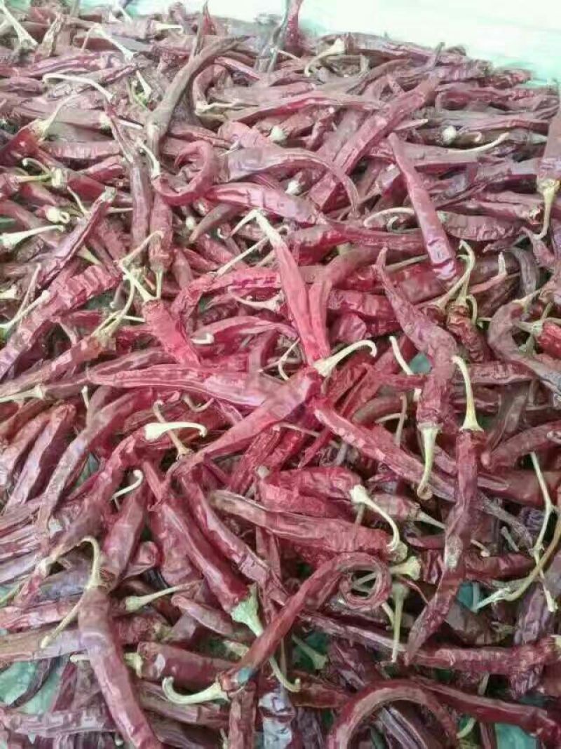 油椒干辣椒上通货8.5成干
