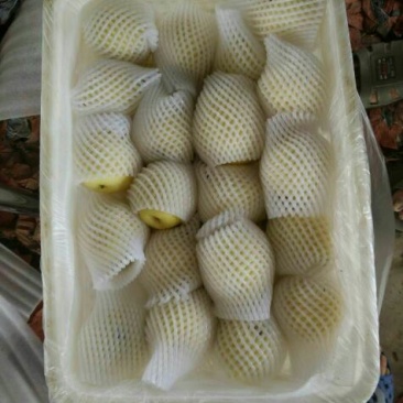 皇冠梨300~350g纸箱