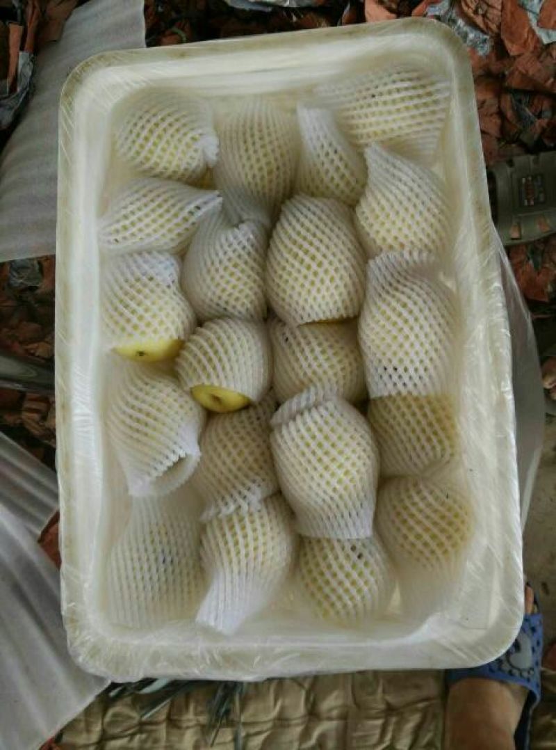 皇冠梨300~350g纸箱