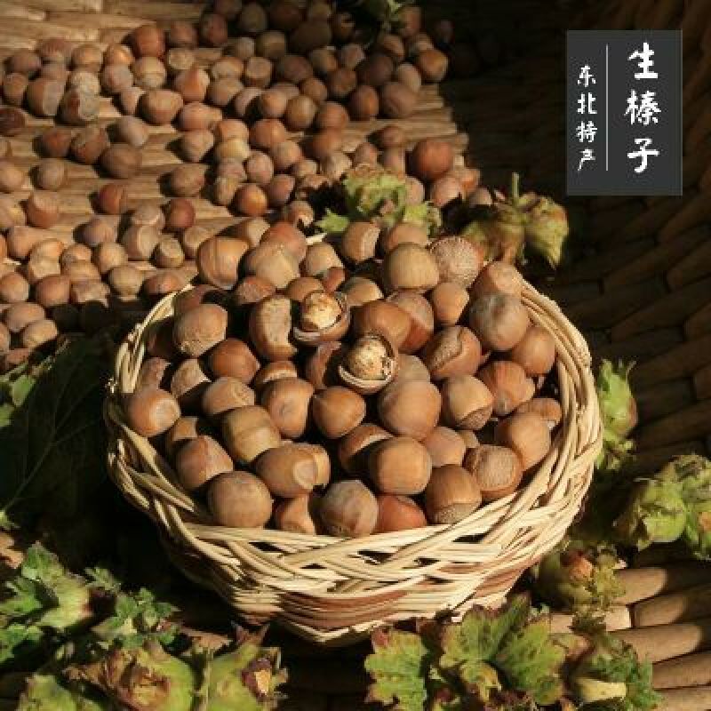 榛子特级
